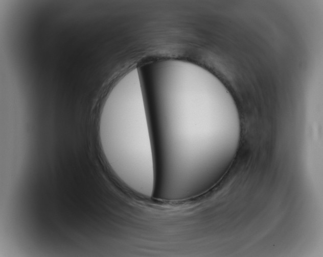 X0000099500020200805150959