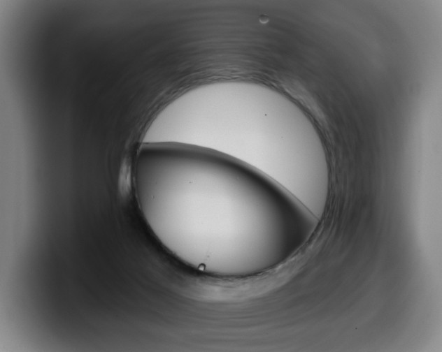 X0000099500021200805150959