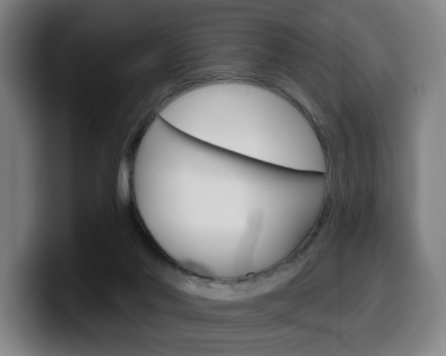 X0000099500022200805150959