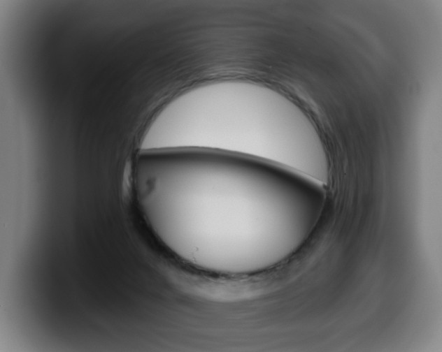 X0000099500024200805150959