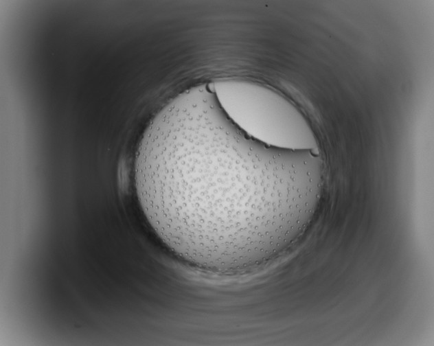 X0000099500026200805150959