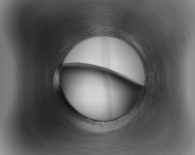 X0000099500027200805150959