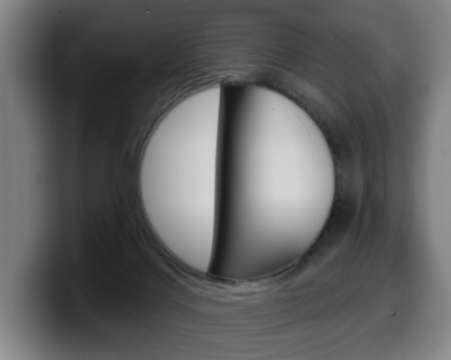X0000099500028200805150959
