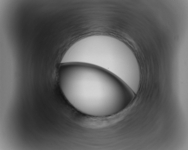 X0000099500029200805150959
