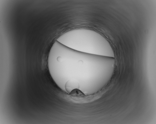 X0000099500030200805150959