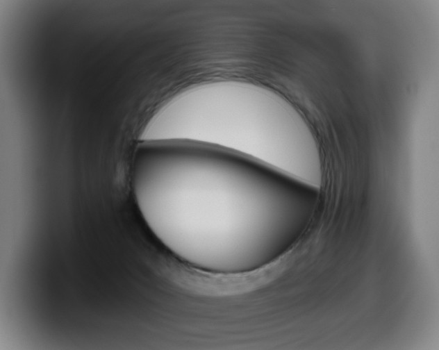 X0000099500031200805150959