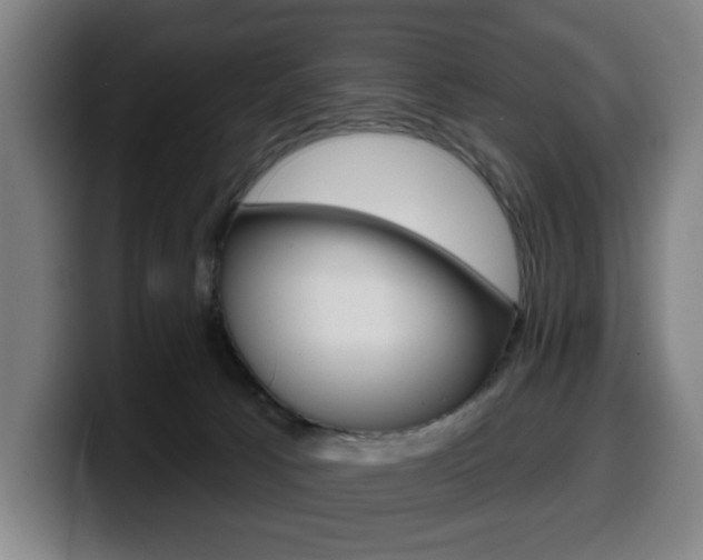 X0000099500033200805150959