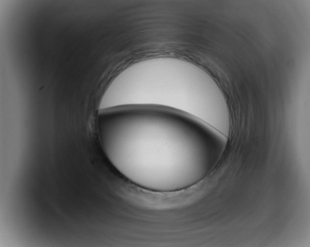 X0000099500035200805150959