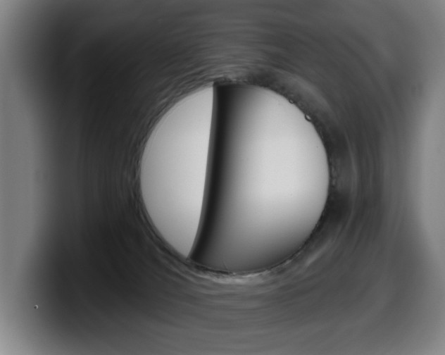 X0000099500036200805150959