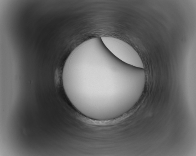 X0000099500038200805150959