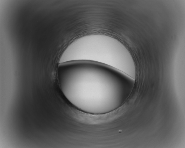 X0000099500039200805150959
