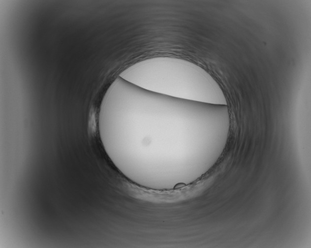 X0000099500042200805150959