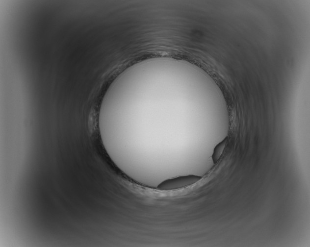 X0000099500043200805150959