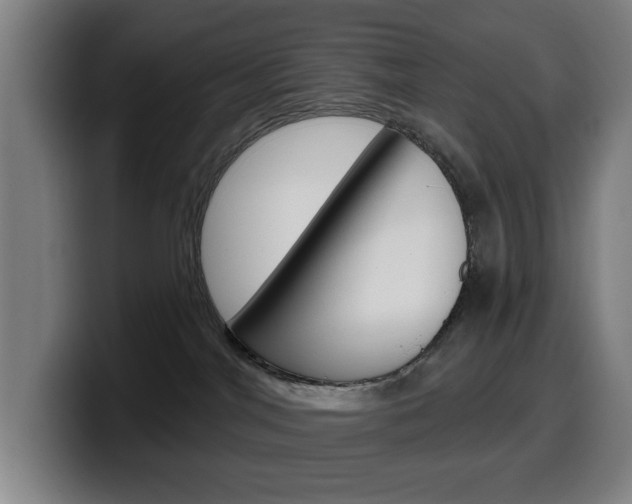 X0000099500044200805150958
