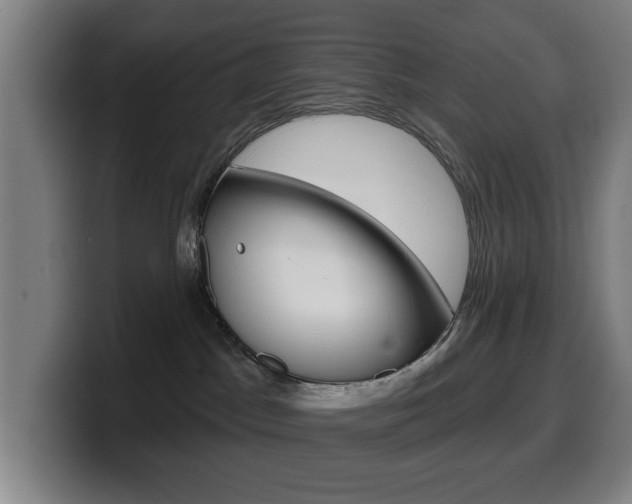 X0000099500045200805150958