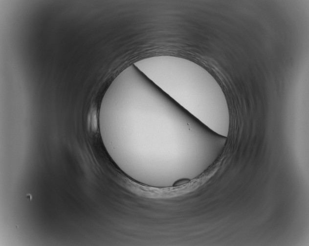 X0000099500046200805150958