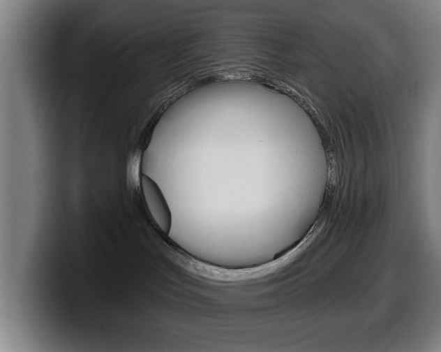 X0000099500047200805150958