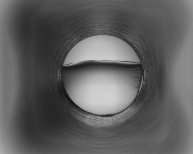 X0000099500048200805150958