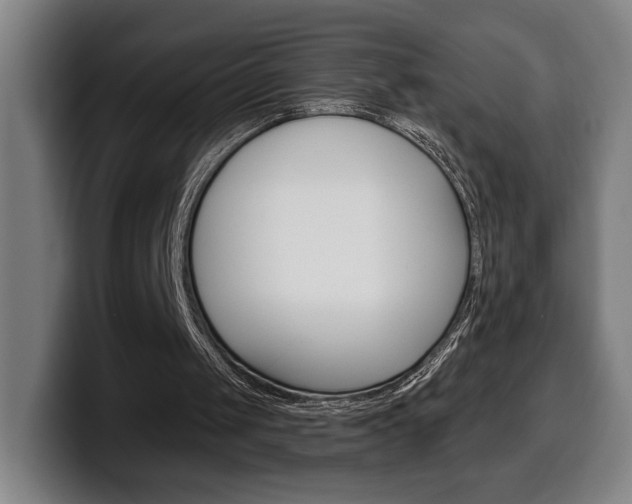 X0000099500049200805150958