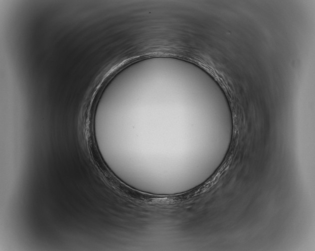 X0000099500050200805150958