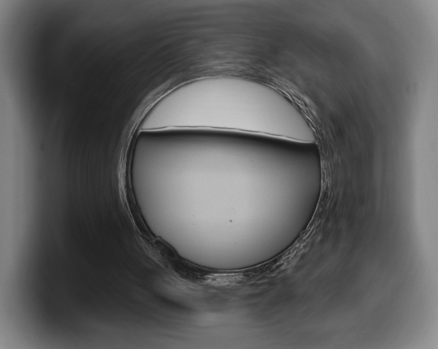 X0000099500051200805150958