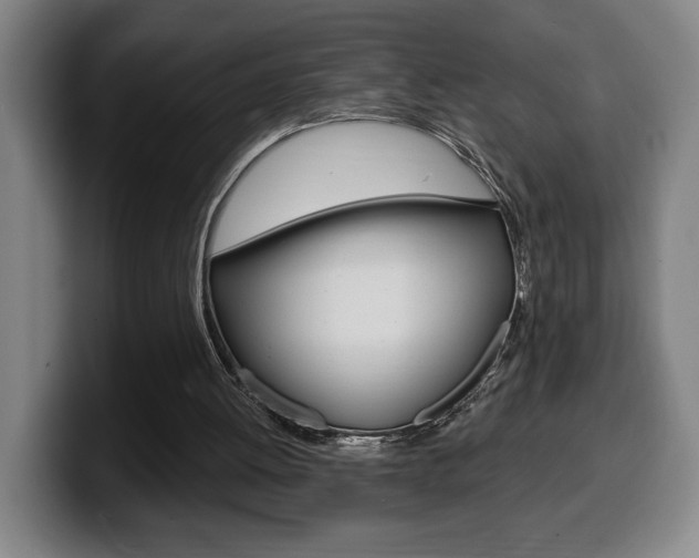 X0000099500052200805150958