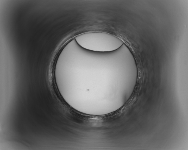 X0000099500053200805150958