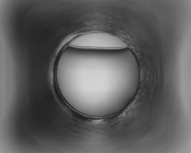 X0000099500054200805150958