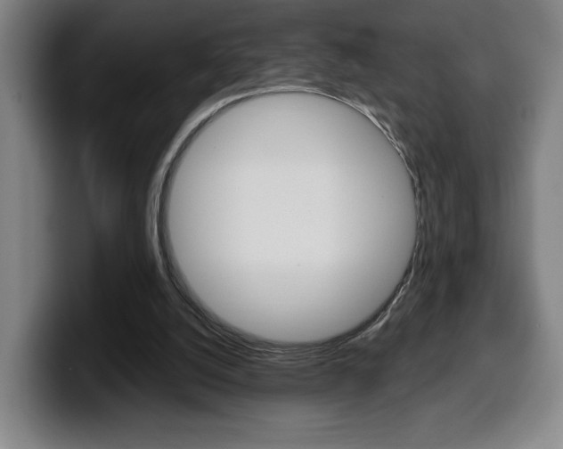 X0000099500056200805150958