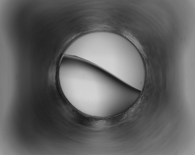 X0000099500058200805150958