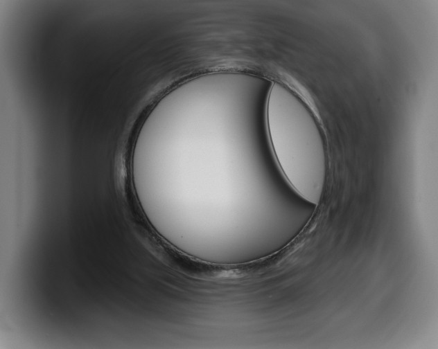 X0000099500059200805150958