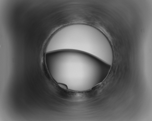 X0000099500060200805150958