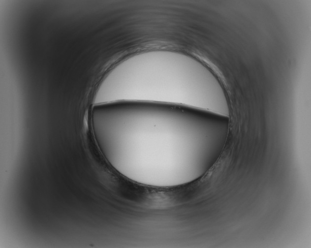 X0000099500062200805150958