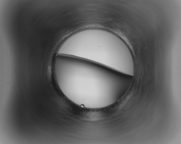 X0000099500063200805150958