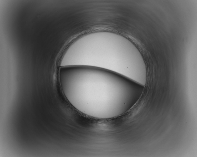 X0000099500064200805150958