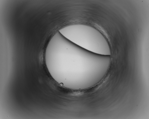 X0000099500065200805150958