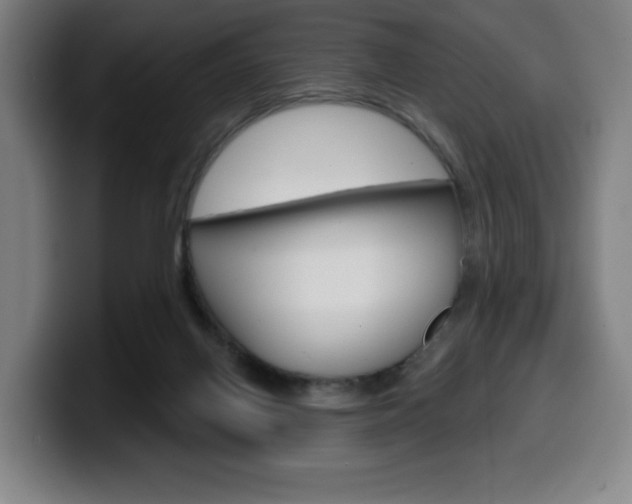 X0000099500070200805150958