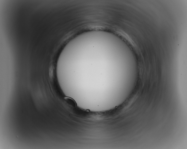 X0000099500071200805150958