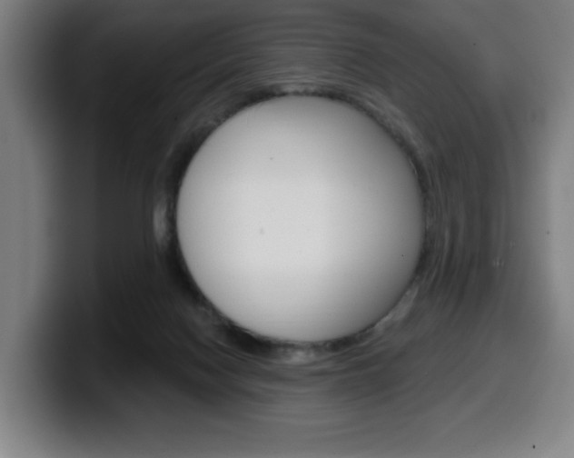 X0000099500074200805150958
