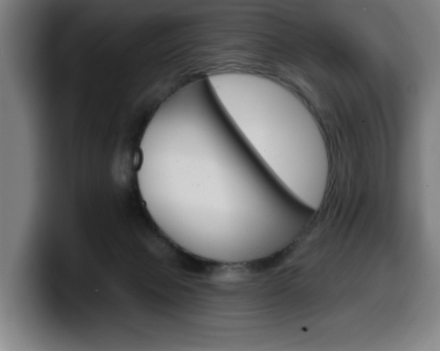 X0000099500077200805150958