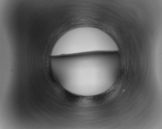 X0000099500078200805150958