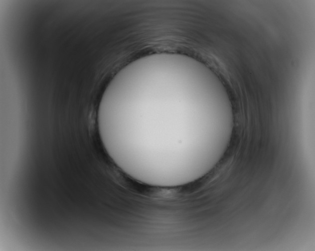 X0000099500081200805150958