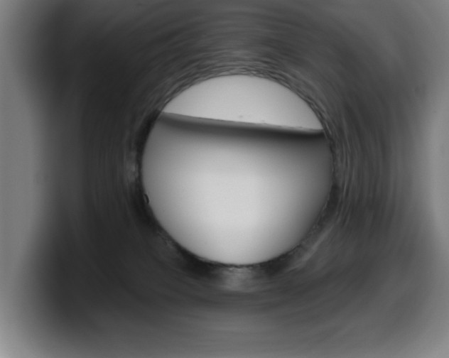 X0000099500085200805150958