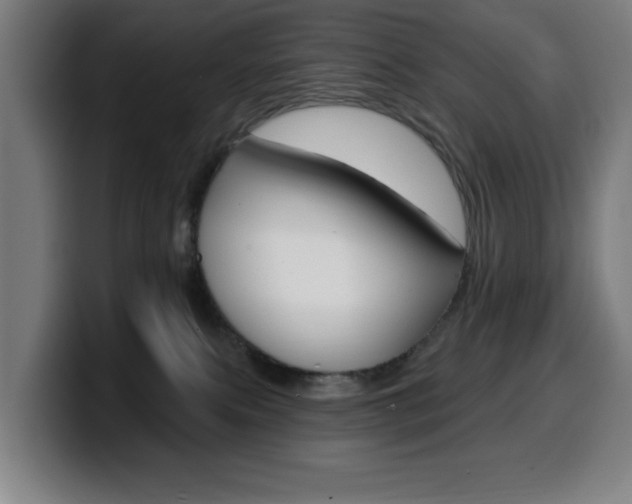 X0000099500087200805150958