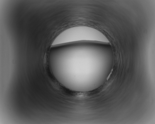 X0000099500088200805150958
