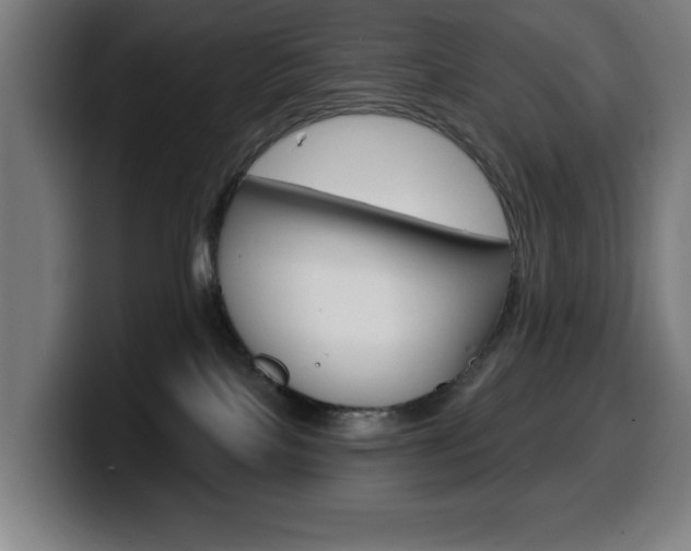 X0000099500089200805150958