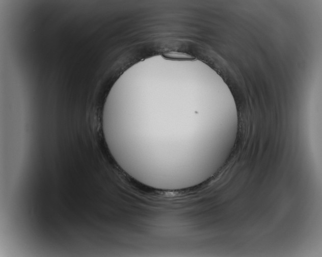 X0000099500091200805150958