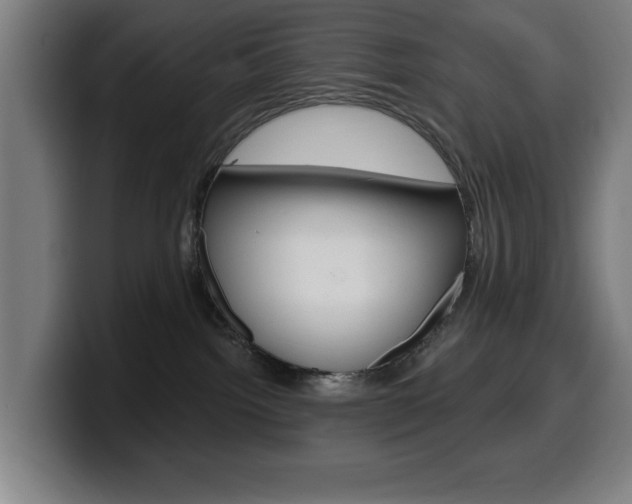 X0000099500092200805150958