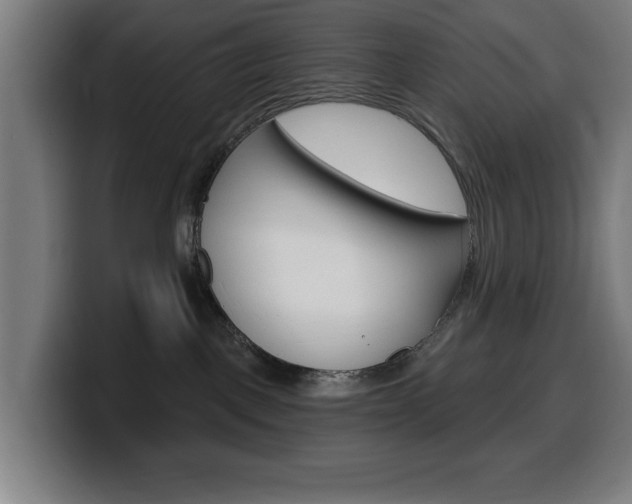 X0000099500093200805150958
