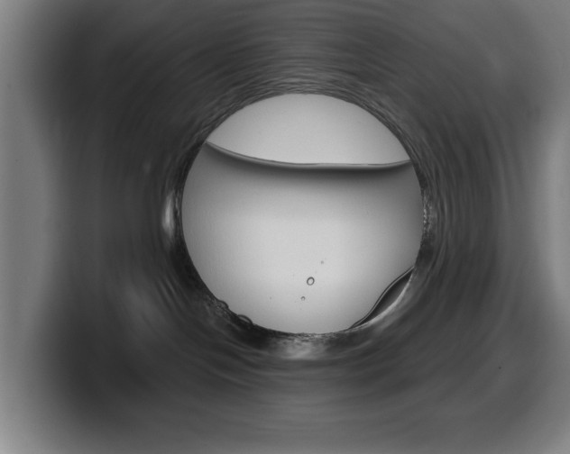 X0000099500094200805150958